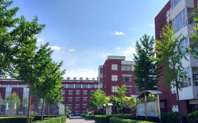 北京市信息管理學校、學校招生計劃